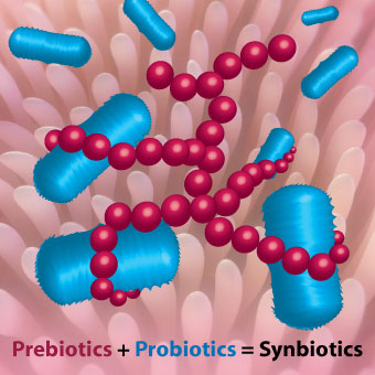 Probiotiká a prebiotiká - Vianutra