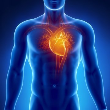 Srdce a krvný tlak - Vitamin Bottle