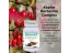 Berberine Complex zdravé trávenie, regulácia cukru v krvi