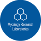 MRL