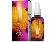 Cistus complex