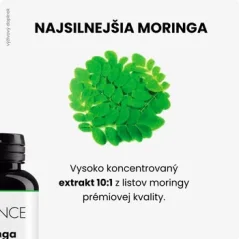 Moringa