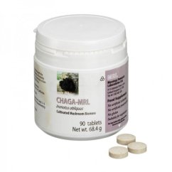 Chaga huba