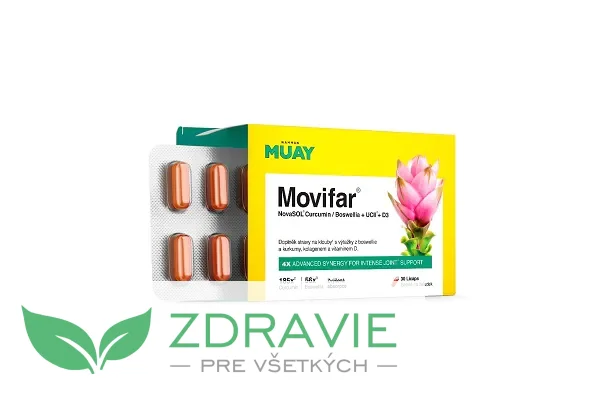 Namman MUAY Movifar