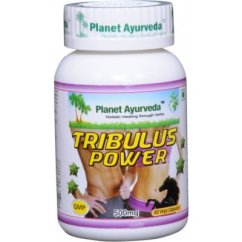 Tribulus power