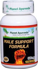 Male Support