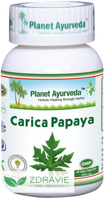 Carica papaya