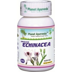 Indická echinacea (Právenka latnatá)