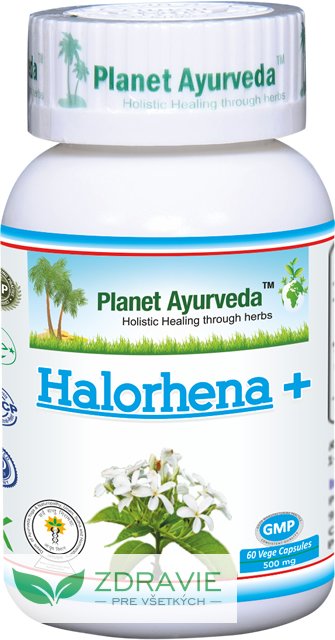 Kutaj Halorhena+