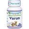 Varuna