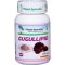 Gugullipid