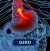Reflux