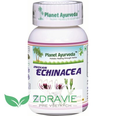 Indická echinacea (Právenka latnatá)