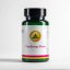 Cordyceps