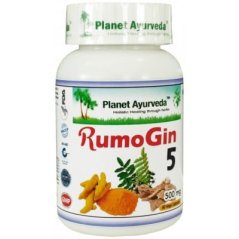Rumo Gin5