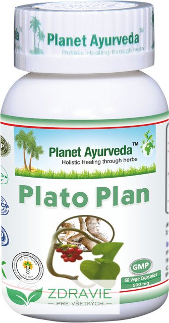 Plato Plan